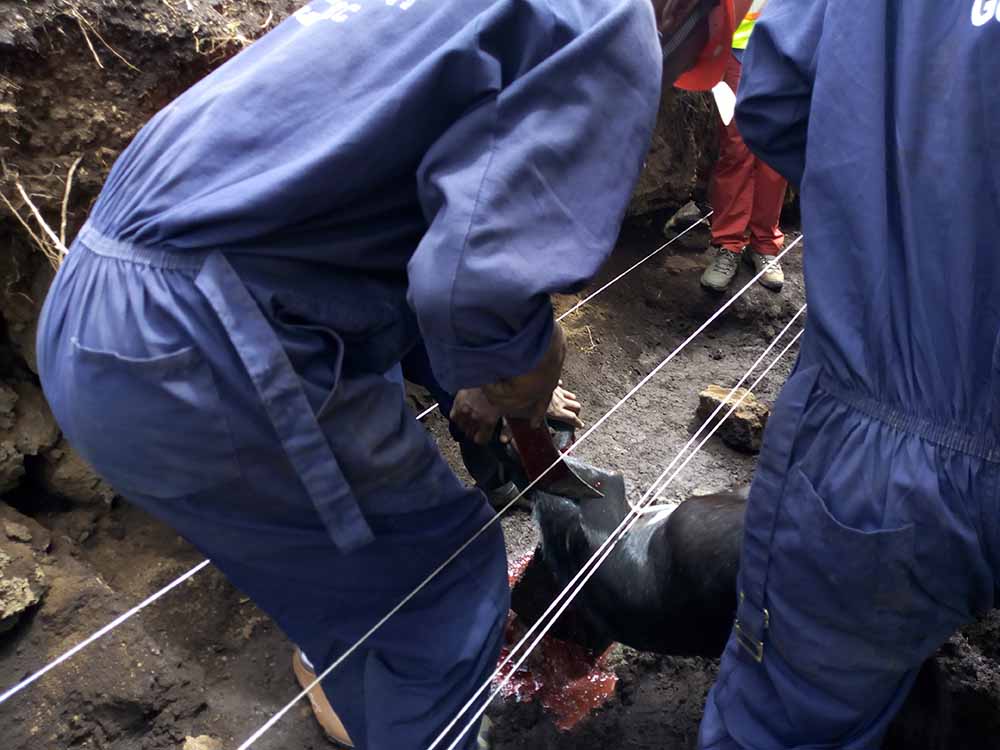 R&eacute;habilitation de la station de pompage et de drainage &agrave; Kyeshero &mdash; vue 6