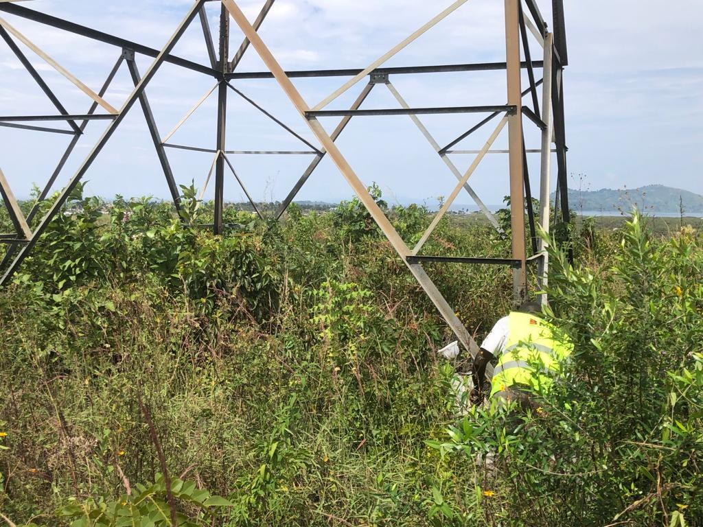 Débroussaillement de la ligne HTCA Bukavu-Goma - deuxième lot — vue 3